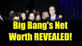The Big Bang Theory Cast: Who's the Richest Star?