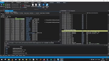 [1] Lokibot analyzing - defeating GuLoader with Windbg (Kernel debugging) and Live C2