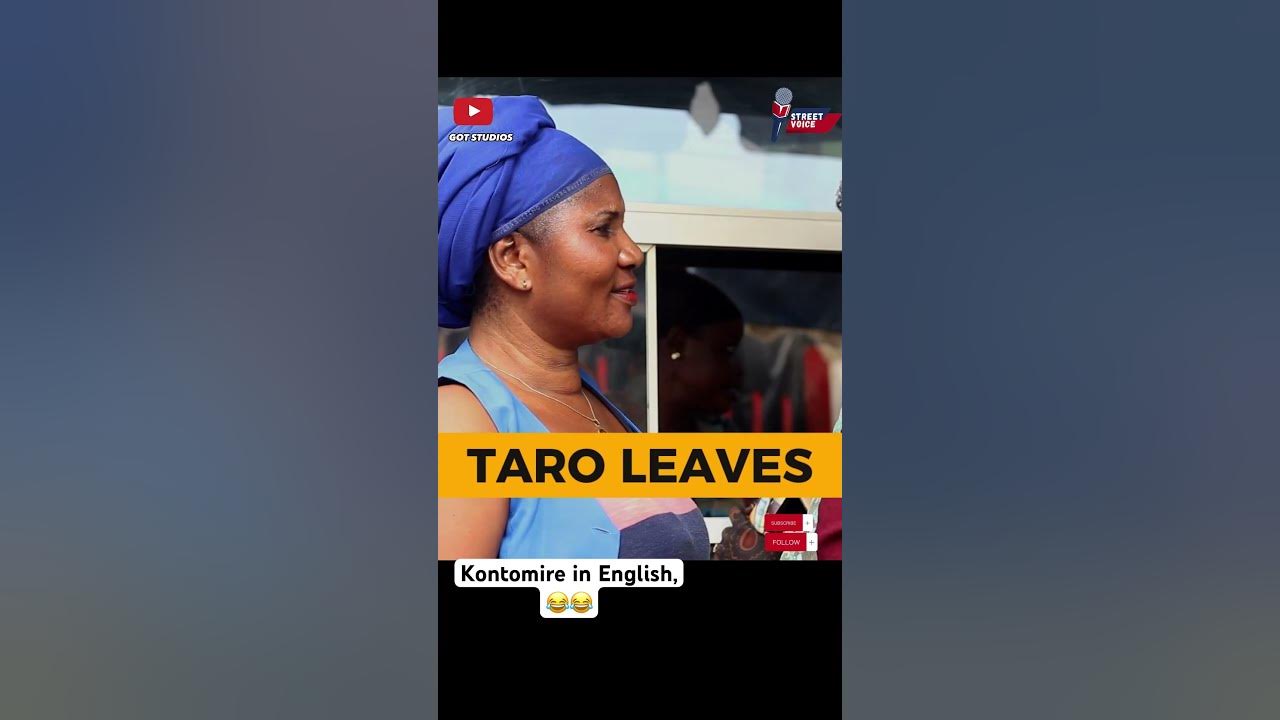 Kontomire’s English name is what, On the street of Madina, fypシ fypシ゚