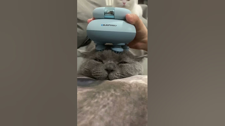 Awesome ❤️‍🔥 Amazon finds pt 13 of 200  - Pet massager which takes them to heaven  😲 #shorts