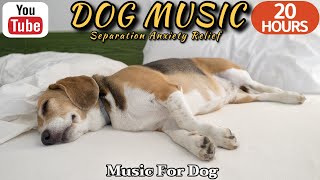 20 HOURS of Calming Music For Dogs🎵💖Anti Separation Anxiety Relief Dog Music🐶🎵Calm dog🎵Healingmate by HealingMate - Dog Music 30,441 views 2 weeks ago 20 hours
