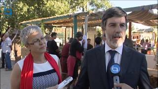 Sarzedas com fibra...