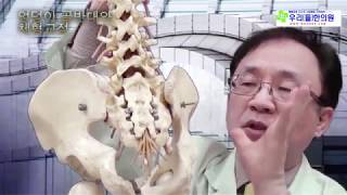 [사상체질체형]엉덩이,골반대와 체형,Hip, pelvis and body posture,바른자세, 체형교정,…