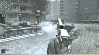 Call of Duty 4 Desert Eagle gone insane