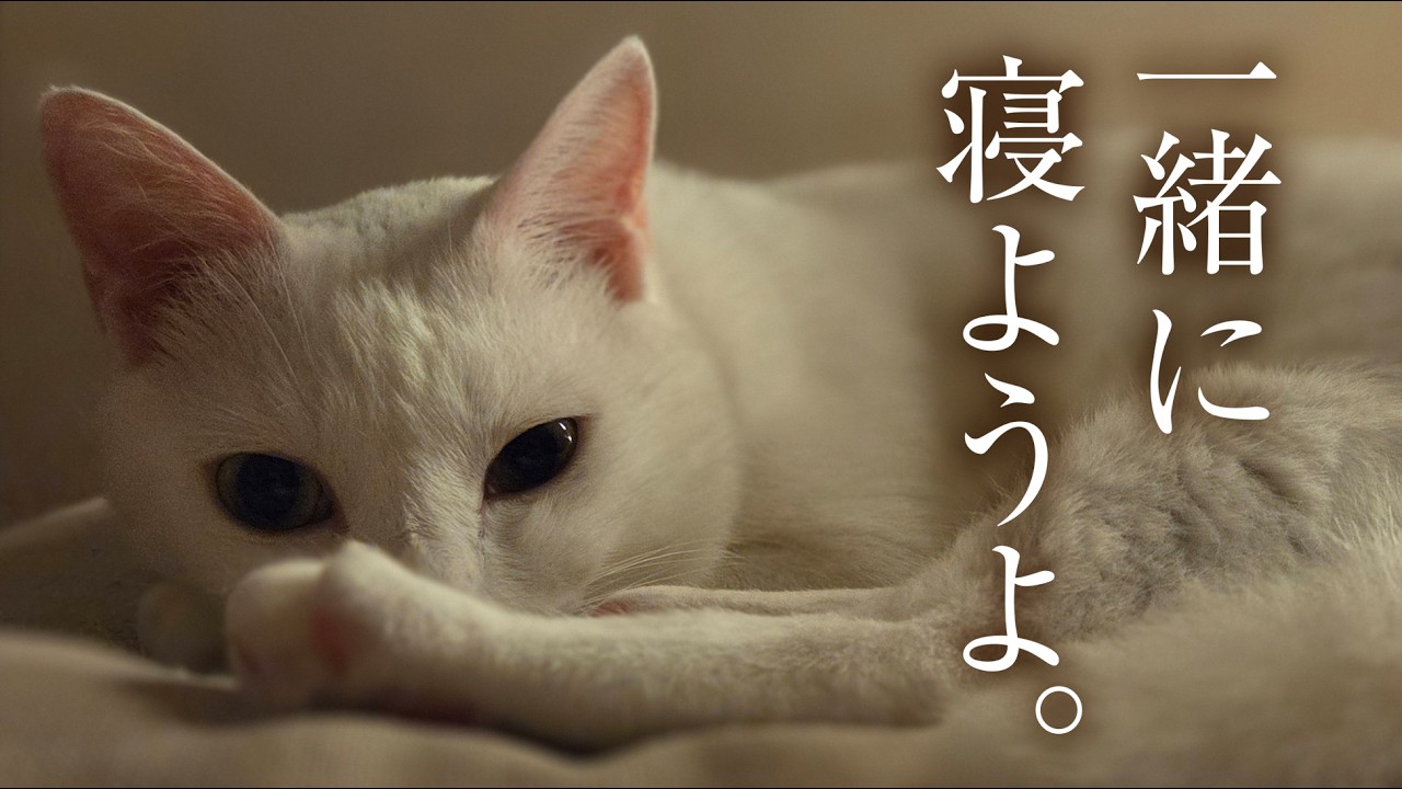 A 20-year-old girl wants to sleep with her beloved cat. So, what
