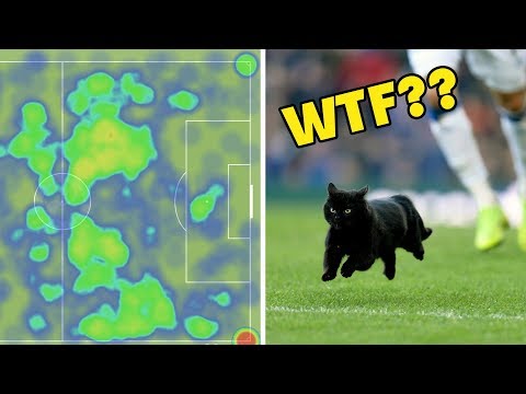 Видео: Колумбийский кот поет гол Кубка мира