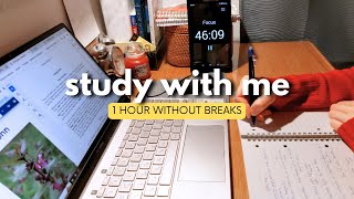 1 hour STUDY WITH ME - no breaks (fire crackling, no music) - learning languages
