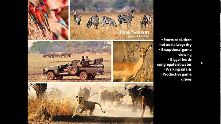 Webinar: Norman Carr Safaris, South Luangwa Nation...