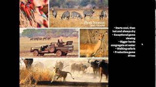 Webinar Norman Carr Safaris, South Luangwa National Park, Zambia