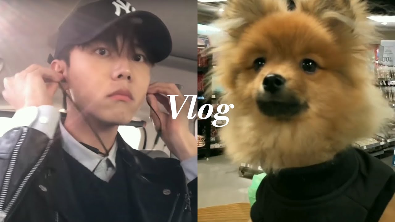 안녕하세요, 주우재입니다 | vlog, 드로 미용, 마트 장보기