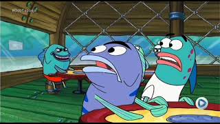 Bob Esponja Pando Na Rede Brasil 230923