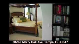 20262 Merry Oak Ave, Tampa,Fl 33647