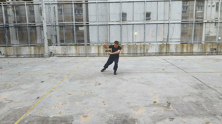 工字伏虎拳教學篇（14）Gung Gee Fook Fu Kuen 5-2-2024