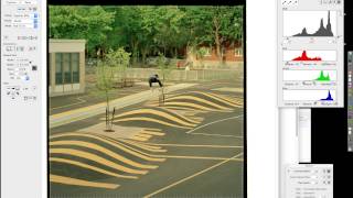 Color Neg Film Imacon Scan Tutorial 01 Flexcolor