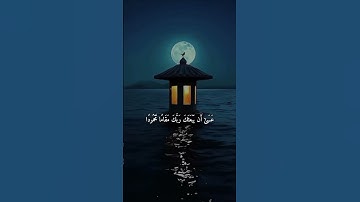 ومن الليل فتهجد به نافلة لك عسى أن يبعثك ربك مقاما محمودا #فارس_عباد #تلاوات #قران #دويتو