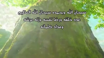 تلاوة خاشعة جميلة للقاري هزاع البلوشي/طبيعة وطيور جودة عالية(سبحان الله وبحمده سبحان الله العظيم)🤍