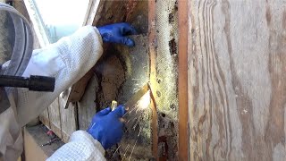 Electrified bee hive. What happens when you cut a wire hidden in honey comb