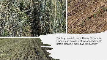 Why Grow a Cover Crop?: TNC Ohio Agriculture Lunch& Learn