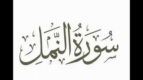 تلاوة خاشعة من سورة النمل للقارئ الشيخ عبدالرحمن السعدي