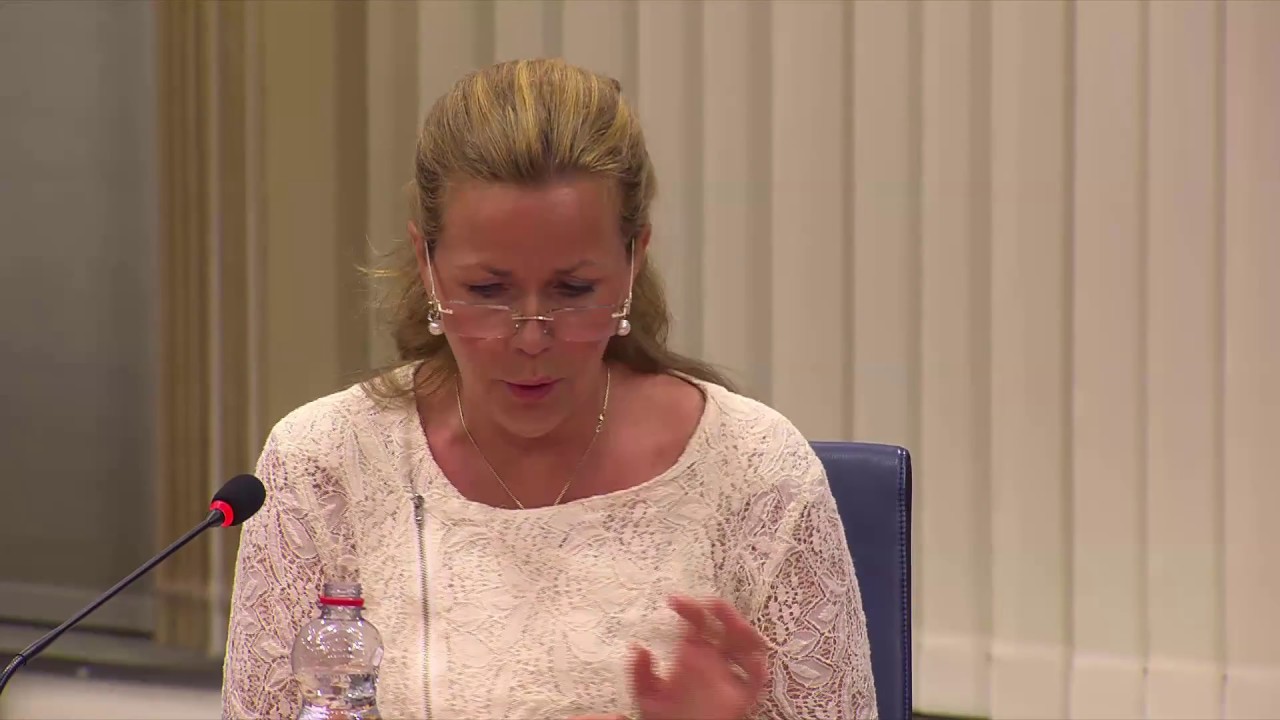 Wikström (L): Kan Facebook säkerställa EU:s medborgares integritet?