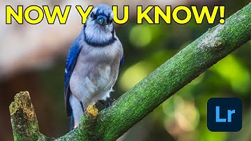 7 Hidden Lightroom Tricks That You NEED TO KNOW