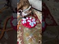 Smart Shelter Pup Quickly Solves Puzzle Toy