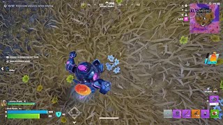 Fortnite Crown Win with Cass