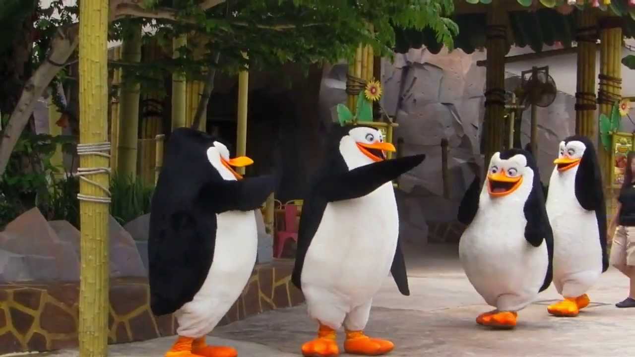 Uss マダガスカル ペンギンズ ダンス Madagascar Boogie Dance Universalstudiossingapore Youtube