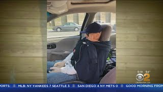 LI Driver Caught With Mannequin In HOV Lane