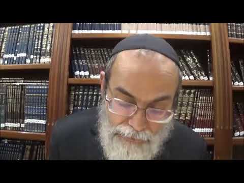 Bekhorot 30a - Youtube