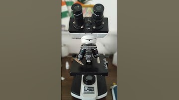 #pathology#video #microscope #cbc