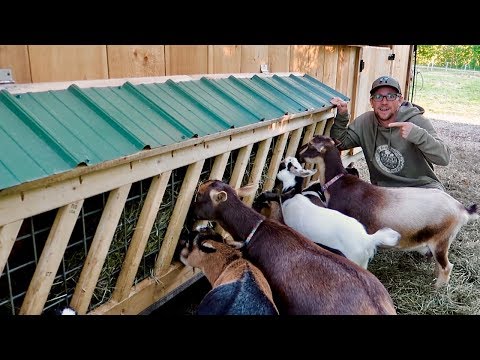 this DIY Hay Feeder HACK It's gonna save us $100s on Wasted HAY
