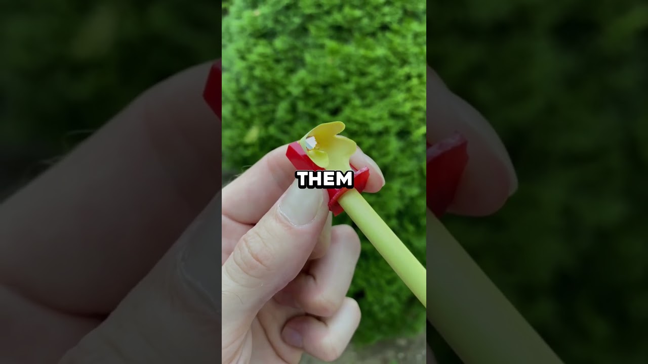 Random facts about boys 🤯 