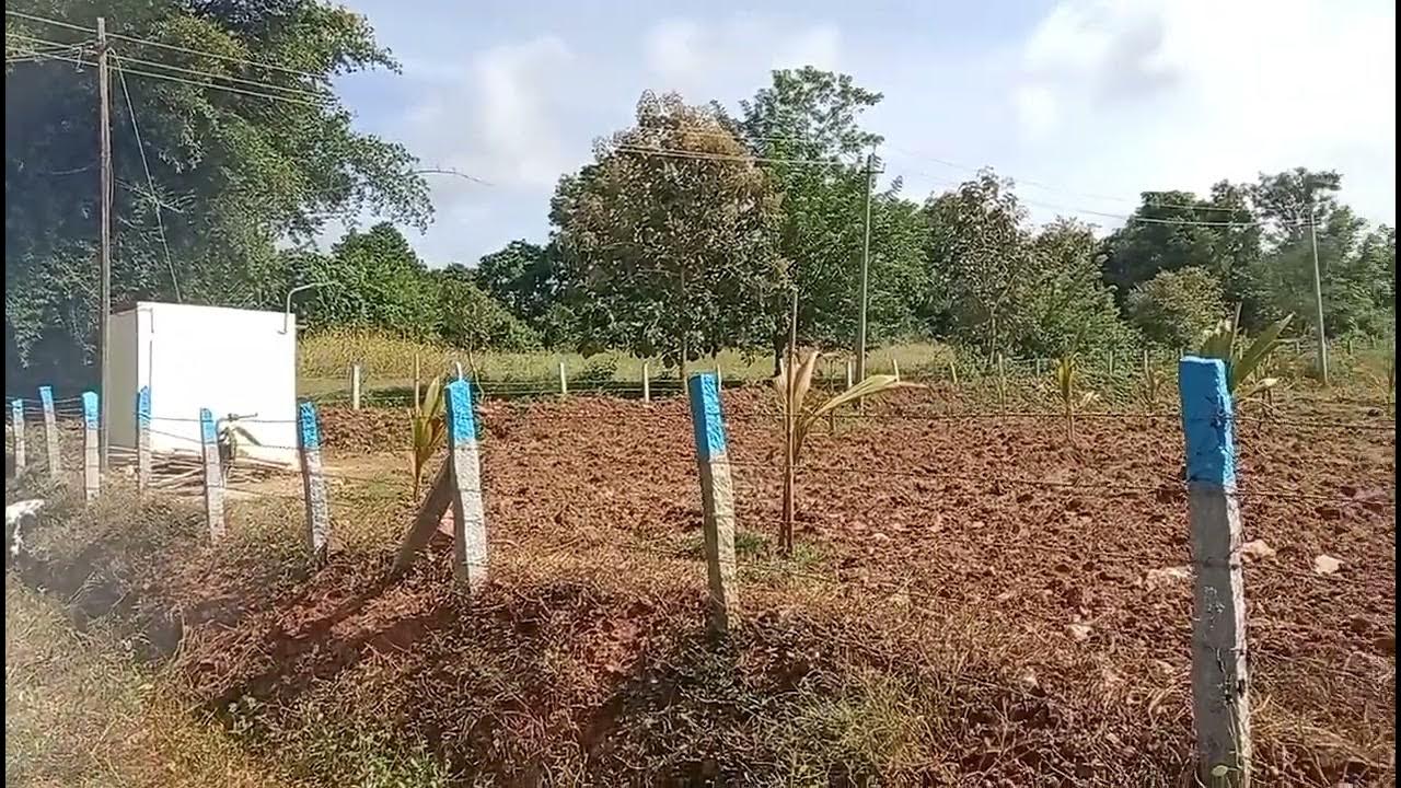 1 Acre 7 Guntas Agriculture Land For Sale Near HD kote Road