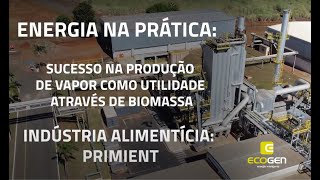 Case de Sucesso: Cogeração de Energia para a Indústria - Caldeira de Biomassa - Ecogen & Primient