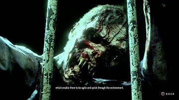 Until Dawn Bringing it to like movie clip