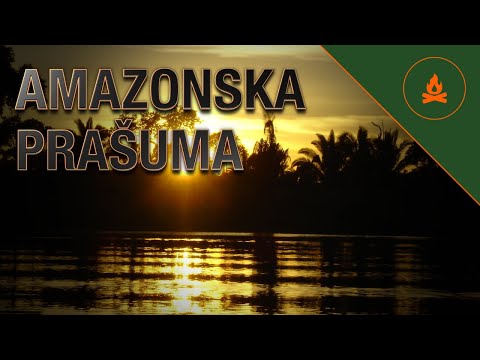 Video: Biljke i životinje Amazone