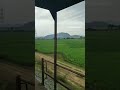 #nature #train