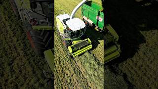 Erster Schnitt 2026 😏 #claas #hobby #farming #lohnunternehmen #farming #agrar#teamwork