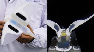 Self-powered soft robot in the Mariana Trench