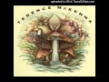 Terence McKenna - This is the Mushroom