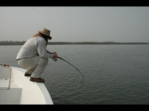 Guide complet pour sélectionner la meilleure canne à pêche