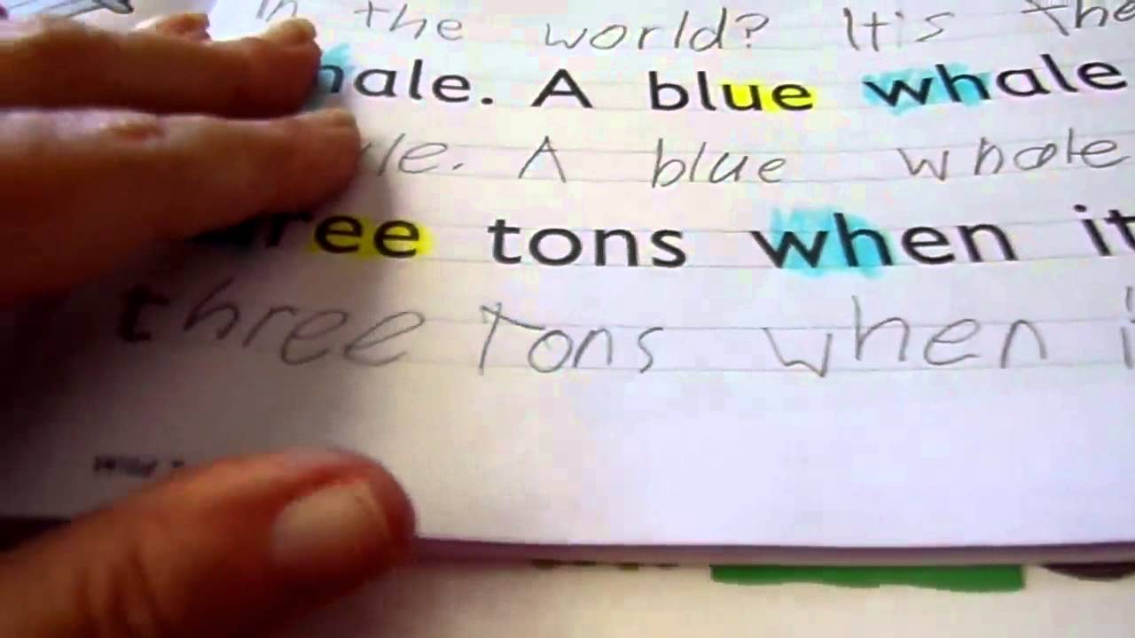 Spelling You See Product Review by a Homeschool Mom YouTube