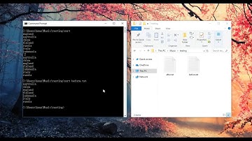 Window Command Prompt #5 - Sorting out a list of words #TPROGRAMMINGT
