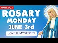 🔴 ROSARY MONDAY 🙏 Holy Rosary TODAY Joyful Mysteries June 3, 2024