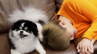 확신의 힐링즈 🐣시아준츄🐶