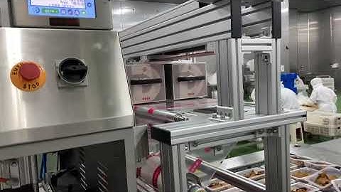 DIKAI D05S Thermal Transfer Overprinter for Multiline Project