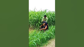 Unlock the Power of Smart Learning with Advanced Gadgets! 🌟