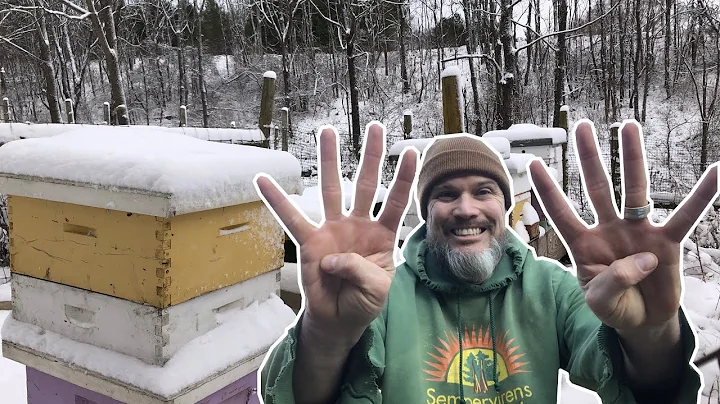 8 Reasons why Your Honeybees Die in the Winter!