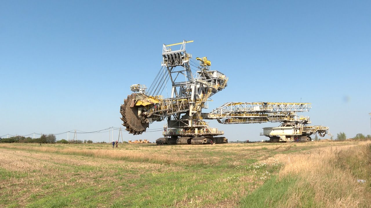 Dolores na powierzchni